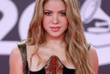 Shakira Hospitalized for Abdominal Issue, Forced to Postpone Concert - E! Online