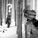 As ‘Hundreds of Beavers’ Crosses $1 Million at the Box Office, Here’s How It Got There