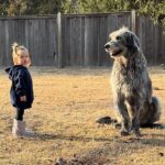Pregnant Kylie Kelce and Jason Kelce Mourn Death of Dog Baloo - E! Online