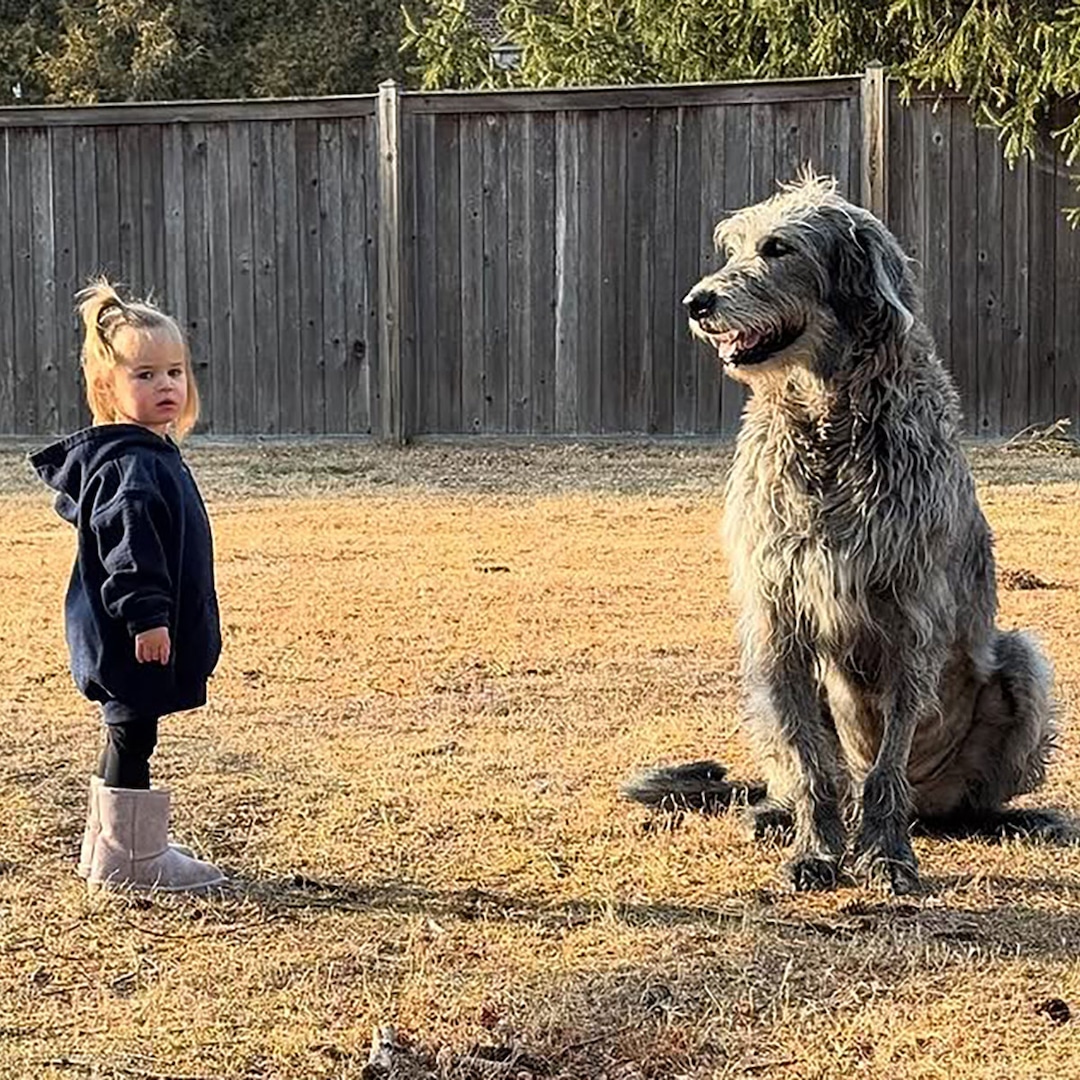 Pregnant Kylie Kelce and Jason Kelce Mourn Death of Dog Baloo - E! Online
