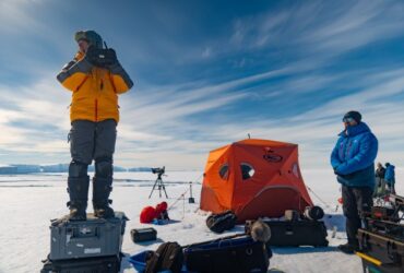 If You Want to Shoot a Documentary in Antarctica, Learn These Tricks from ‘Secrets of the Penguins’