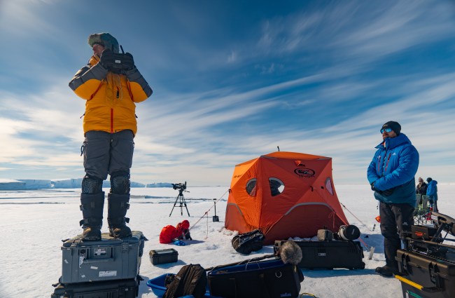 If You Want to Shoot a Documentary in Antarctica, Learn These Tricks from ‘Secrets of the Penguins’