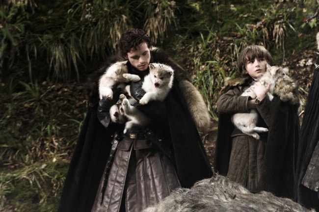 The Dire Wolves from ‘Game of Thrones’ Went Extinct 10,000 Years Ago, but Now They’re Back