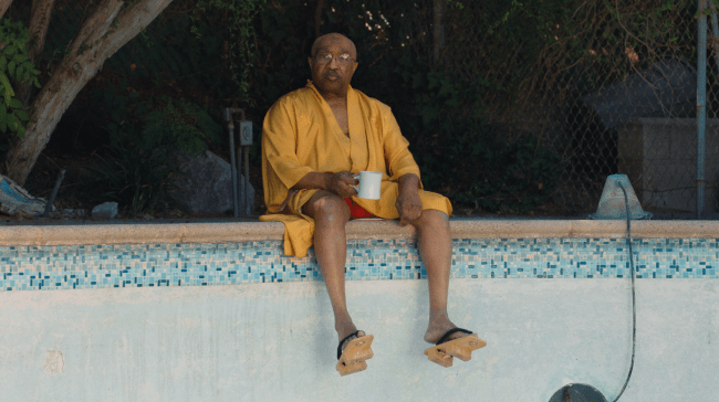 ‘Swamp Dogg Gets His Pool Painted’ Review: A Free-Spirited Music Doc as Delightfully Weird as Its Subject